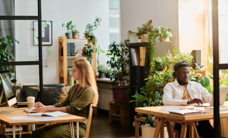 Two young intercultural designers working in front of computers while sitting by desks in openspace office with many green plants